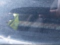 Photo 16 of 16 — 2015 Honda Civic