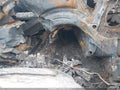 2024 BMW X3 — photo 12 of 12 | VIN 5UX53DP01R9V40880