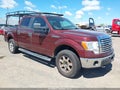 Photo 1 of 20 — 2010 Ford F-150