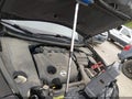 Photo 6 of 11 — 2010 Nissan Maxima