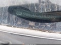 Photo 12 of 12 — 2011 Hyundai Sonata