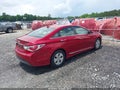 Photo 4 of 11 — 2012 Hyundai Sonata Hybrid