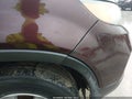Photo 12 of 12 — 2011 Kia Sorento