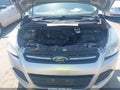 Photo 10 of 11 — 2016 Ford Escape