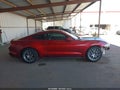 2019 Ford Mustang — photo 13 of 16 | VIN 1FA6P8TH8K5118573
