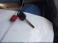 2006 Honda Element — photo 11 of 11 | VIN 5J6YH18316L005354