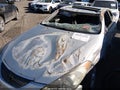 Photo 6 of 10 — 2004 Toyota Camry