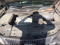 Photo 10 of 17 — 2010 Lexus RX 350