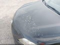 Photo 13 of 17 — 2007 Toyota Camry