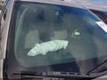 2016 Chevrolet Equinox — photo 16 of 16 | VIN 2GNALCEKXG1133183