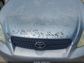 2006 Toyota Matrix — photo 13 of 16 | VIN 2T1KR32E66C574061