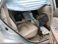 Photo 8 of 15 — 2005 Lexus RX 330