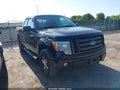 Photo 1 of 16 — 2010 Ford F-150