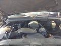 Photo 10 of 14 — 2000 Chevrolet Silverado 1500