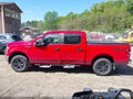 2019 Ford F-150 — photo 15 of 17 | VIN 1FTEW1EB8KKF06834