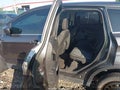 Photo 8 of 16 — 2019 Ford Escape