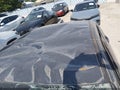 Photo 17 of 21 — 2023 Hyundai Elantra