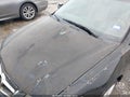 Photo 12 of 16 — 2004 Acura TSX