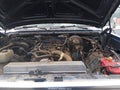 1990 Dodge Ramcharger — photo 10 of 11 | VIN 3B4GM17Z4LM044434