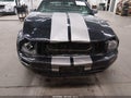 Photo 6 of 13 — 2009 Ford Mustang