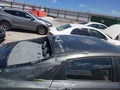 2024 Hyundai Elantra — photo 6 of 16 | VIN KMHLS4DG6RU825077