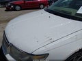 Photo 6 of 17 — 2008 Lincoln MKZ