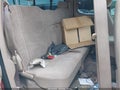 Photo 8 of 11 — 2001 Toyota Tundra
