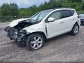 Photo 2 of 11 — 2010 Nissan Murano