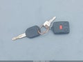 2004 Ford F-150 — photo 11 of 11 | VIN 1FTVF14524NC68637