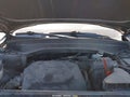 2021 Kia Telluride — photo 10 of 17 | VIN 5XYP5DHC9MG116884