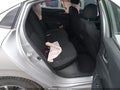 Photo 8 of 16 — 2020 Honda Civic