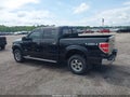 Photo 14 of 18 — 2014 Ford F-150