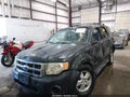 2008 Ford Escape — photo 6 of 13 | VIN 1FMCU92Z78KE30217