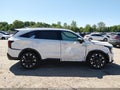 Photo 14 of 20 — 2026 Kia Sorento