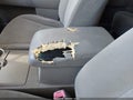 Photo 20 of 21 — 2012 Toyota Highlander Hybrid