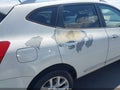 2013 Nissan Rogue — photo 15 of 16 | VIN JN8AS5MV5DW646126