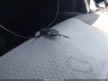 Photo 11 of 16 — 2015 Toyota Corolla