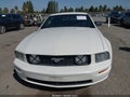 2008 Ford Mustang — photo 12 of 16 | VIN 1ZVHT82H185145586
