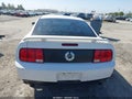 2008 Ford Mustang — photo 16 of 16 | VIN 1ZVHT82H185145586
