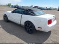 2009 Ford Mustang — photo 3 of 17 | VIN 1ZVHT84NX95108153