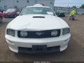 Photo 12 of 18 — 2008 Ford Mustang
