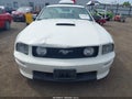 Photo 6 of 18 — 2008 Ford Mustang