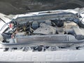 Photo 10 of 18 — 2012 Ford F-250