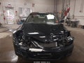 2007 Honda Accord — photo 6 of 16 | VIN 3HGCM56497G708859