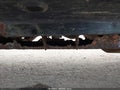 Photo 6 of 16 — 2011 Chevrolet Colorado