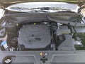 2025 Kia Telluride — photo 10 of 18 | VIN 5XYP6DGCXSG725283