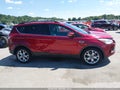 Photo 13 of 19 — 2013 Ford Escape