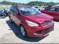 Photo 19 of 19 — 2013 Ford Escape