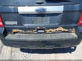 Photo 13 of 14 — 2012 Ford Escape
