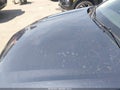 Photo 6 of 16 — 2025 Honda Accord